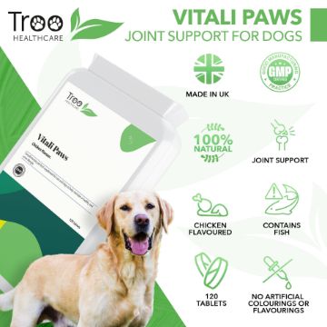 Picture of Vitali-Paws Joint Support for  Dogs