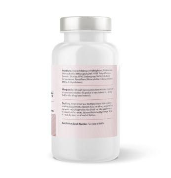 Picture of Primelife Advanced NAD+ Quercetin Complex - 90 Sustained Release Capsules